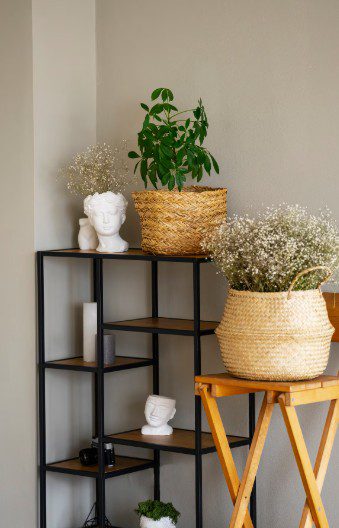 Setting a Budget for Your Home Decor Project