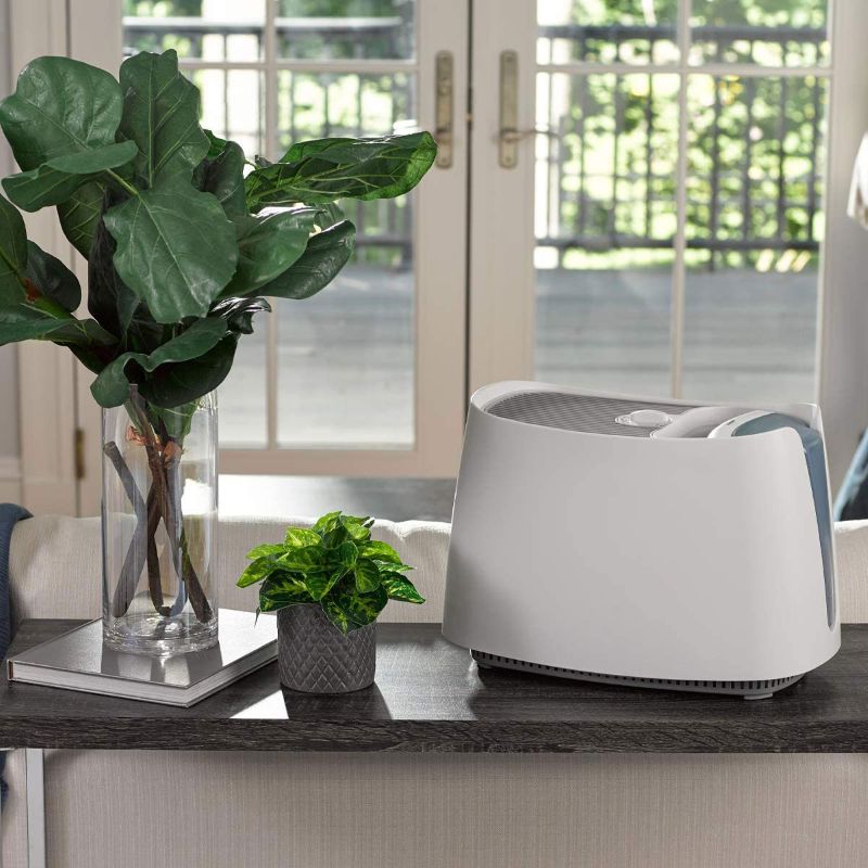 Why a Humidifier is Your Home's Best Friend