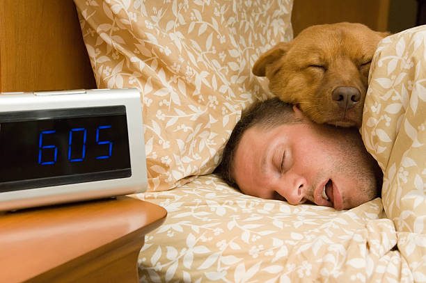 Your Essential Guide: 8 Tips for Seamless Sleep as Clocks Fall Back