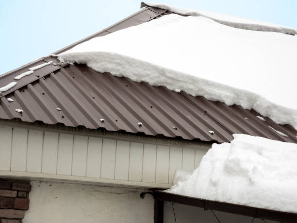 Winter Roof
