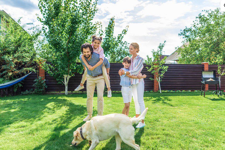 Maintenance Tasks To Maximize Enjoyment In Your Backyard