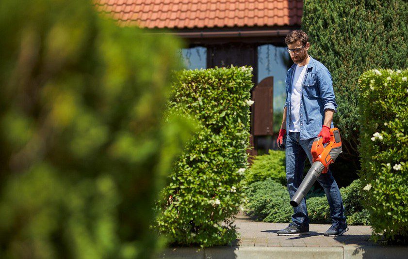 Sewing The Seeds: How To Start A Landscaping Business Sewing The Seeds: How To Start A Landscaping Business