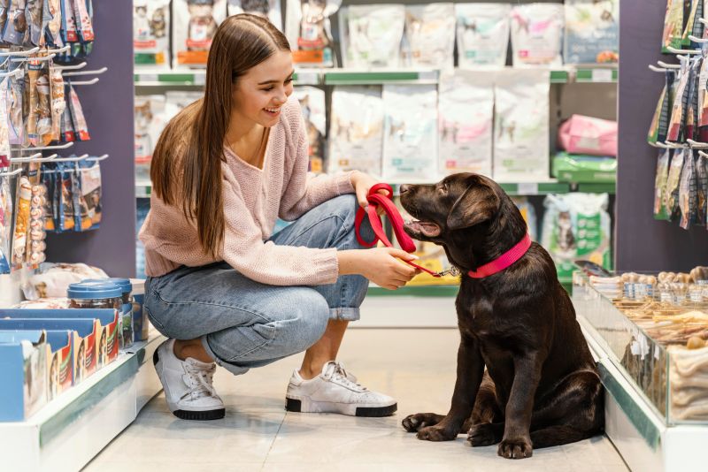 How To Choose The Best Products For Your Dog At Any Age