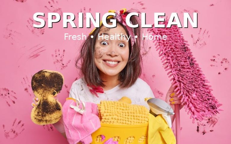 spring clean header with text