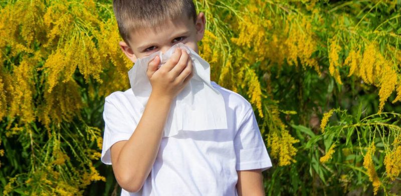 Spring allergies