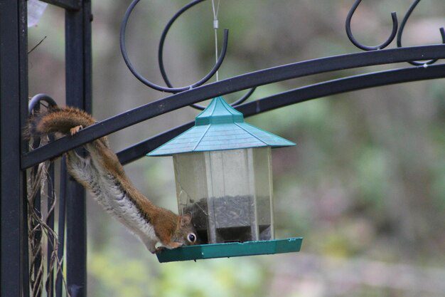 Bio-Exclusion Design