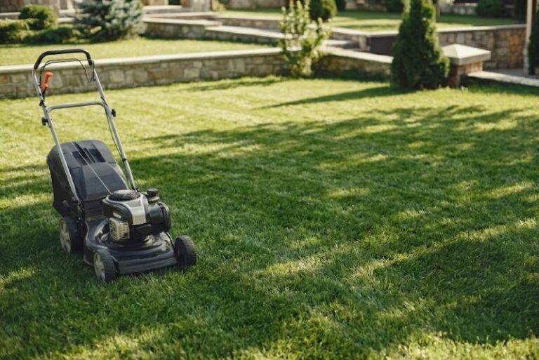 8 Low Maintenance Landscaping Tips to Fix an Unfinished Yard