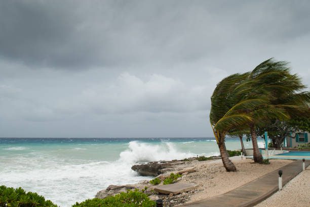Guide to Preparing for Hurricane & Storm Season Guide to Preparing for Hurricane & Storm Season