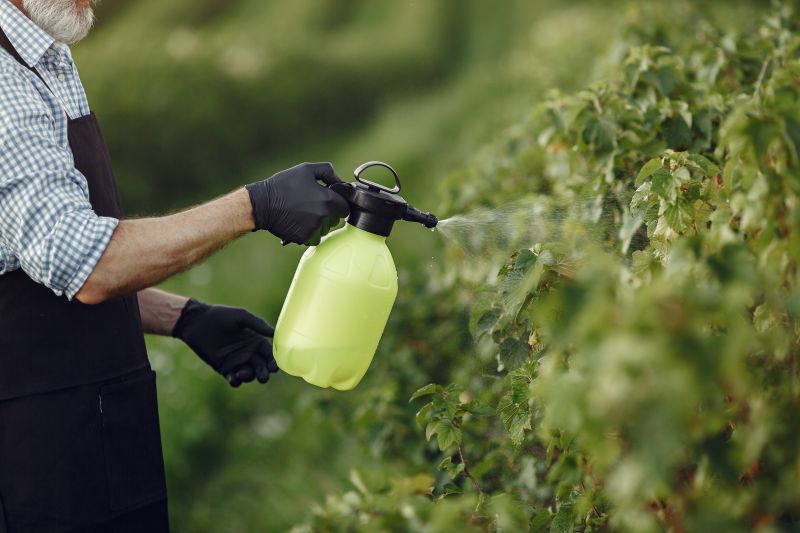 Eco Friendly Pest Treatments