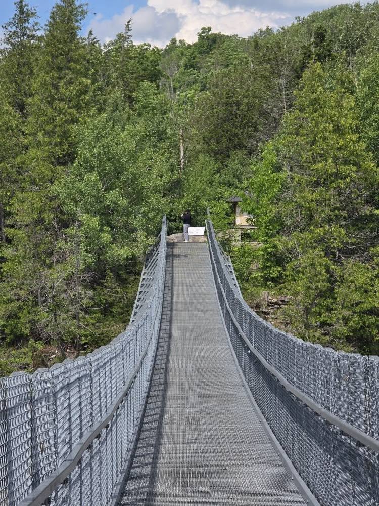 Suspension Bridge