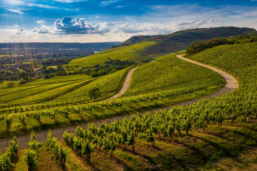 A Weekend Among the Vineyards of the North Fork