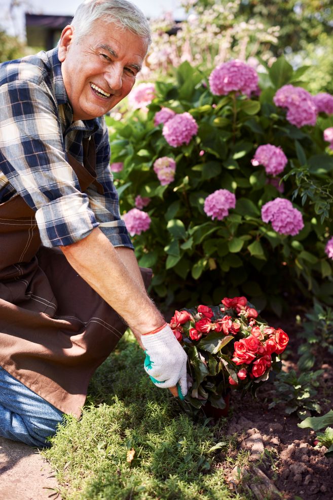 Grandma Gardens Are the Biggest Gardening Trend of Summer 2026 Grandma Gardens Are the Biggest Gardening Trend of Summer 2026