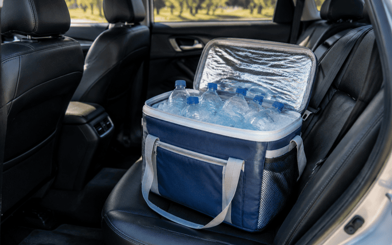 Bottled Water in a Hot Car: Heatwave Risks Bottled Water in a Hot Car: Heatwave Risks