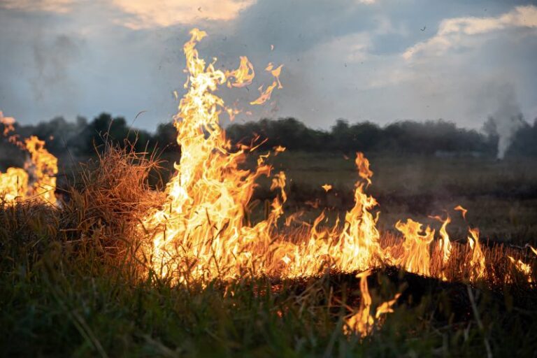 Can Air Conditioning Help During Wildfire Smoke?