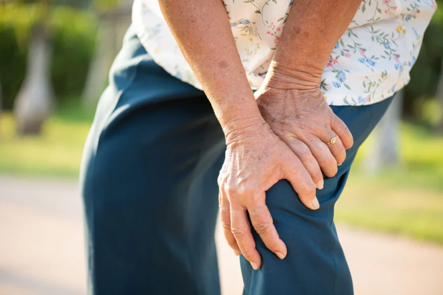 joint pain on the knee joint pain on the knee