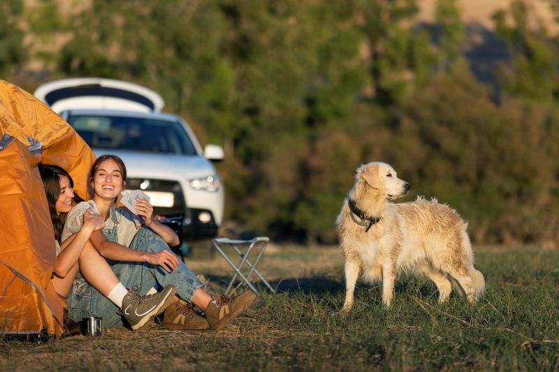 lifestyle people living camping Camping with Dogs: Four-Legged Adventure Partners