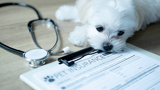 Learn whether pet insurance is Learn whether pet insurance is