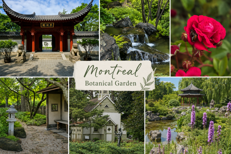 Montreal Botanical Garden