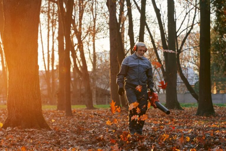 Eco Landscaping: Why You Should Leave the Leaves