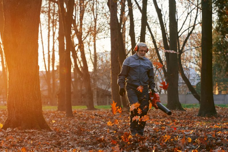 Eco Landscaping: Why You Should Leave the Leaves