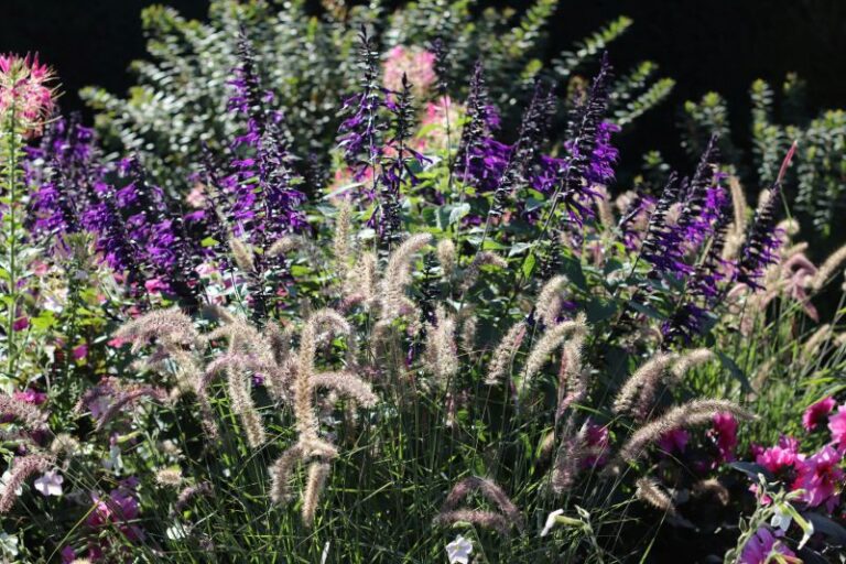 How to Prepare Your Perennial Gardens for the First Frost