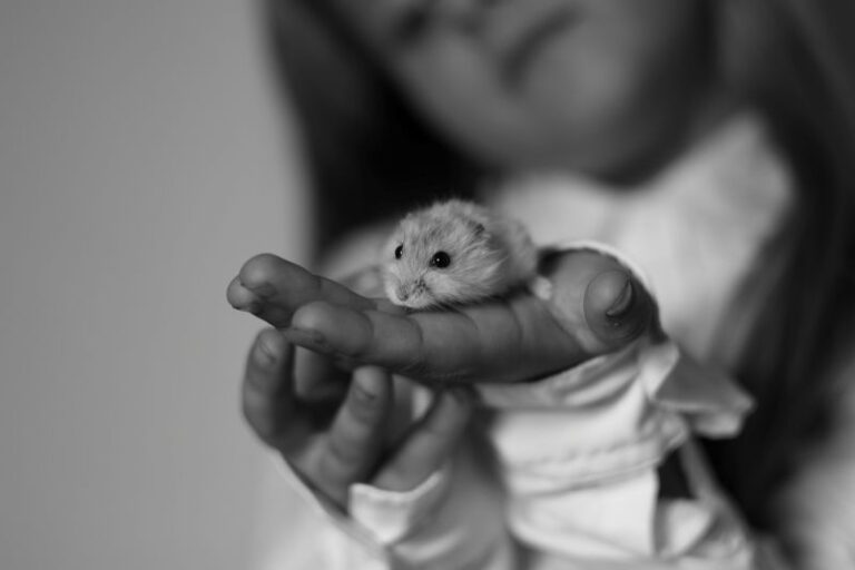 Helping a Child Cope With the Loss of a Pet