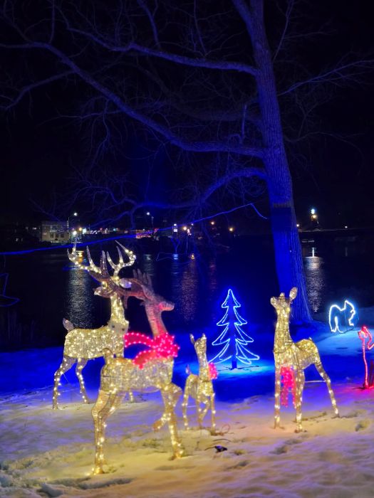 Christmas Traditions Beyond Elf on the Shelf: 15 Ideas for Families