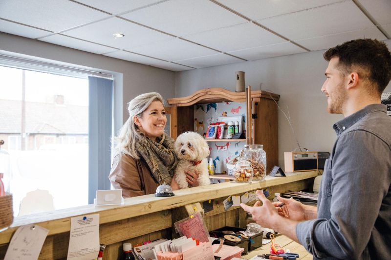 5 Smarter Communication Solutions for Expanding Pet Brands